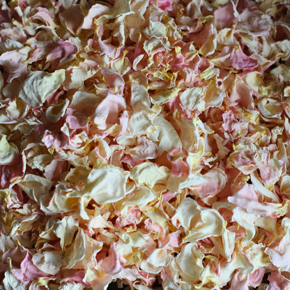 Elderflower Cordial - Dried Rose Petal Confetti