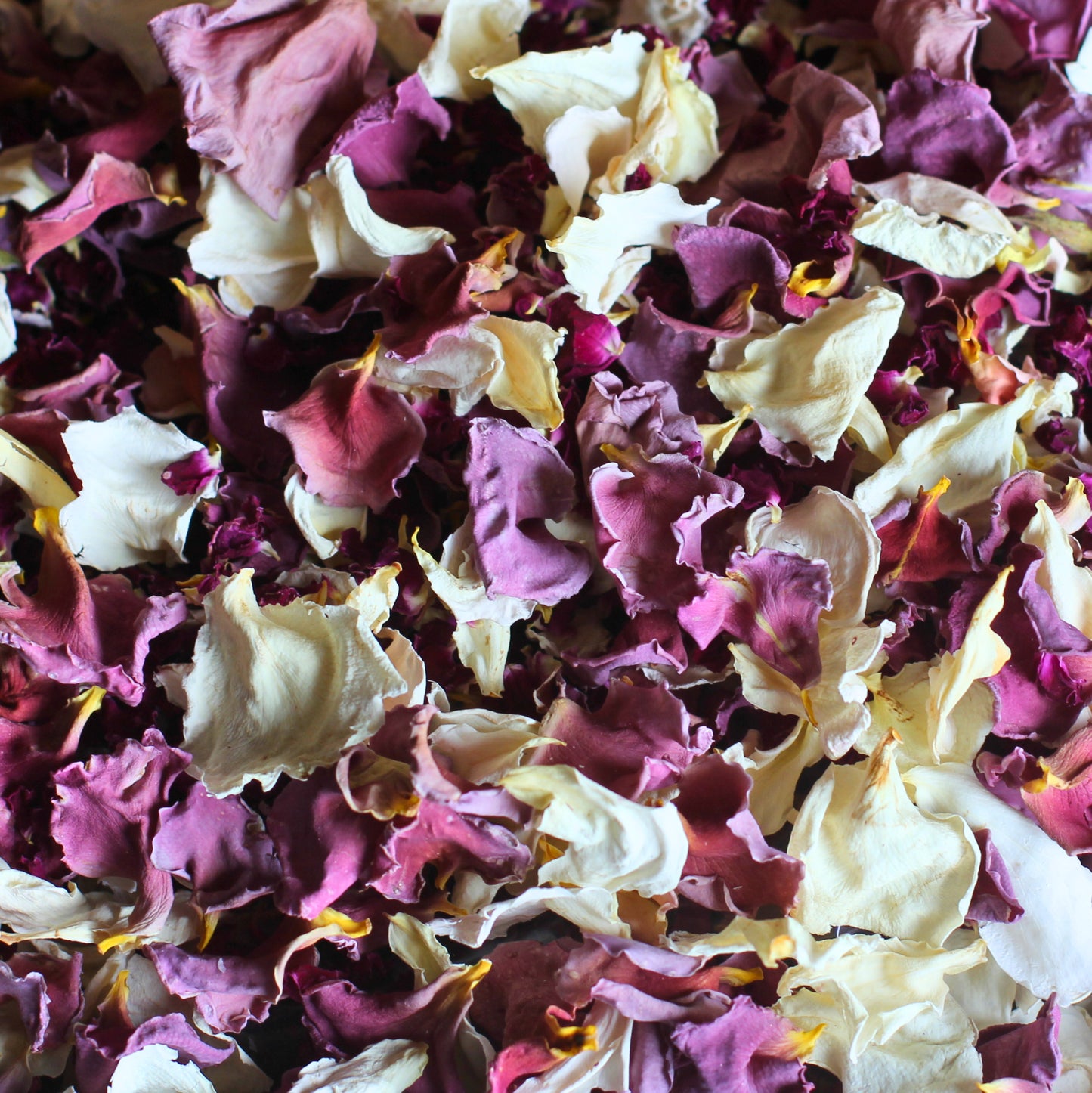 Espresso Martini - Dried Rose Petal Confetti