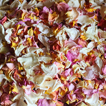 Peach Pavlova - Dried Rose Petal Confetti