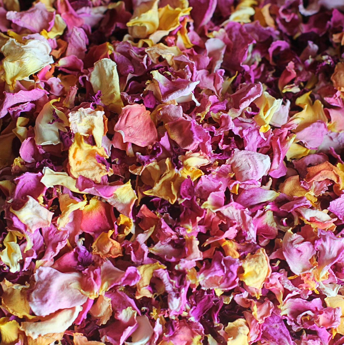 Plum Crumble - Dried Rose Petal Confetti