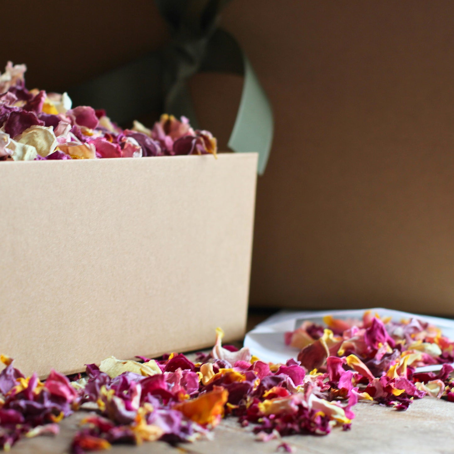 Rosey Riot - Dried Rose Petal Confetti