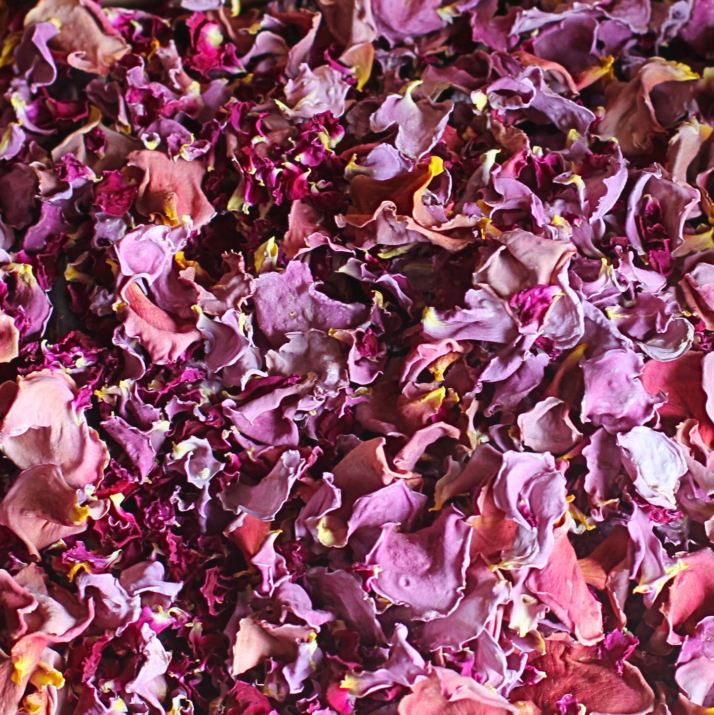 Sloe Gin - Dried Rose Petal Confetti