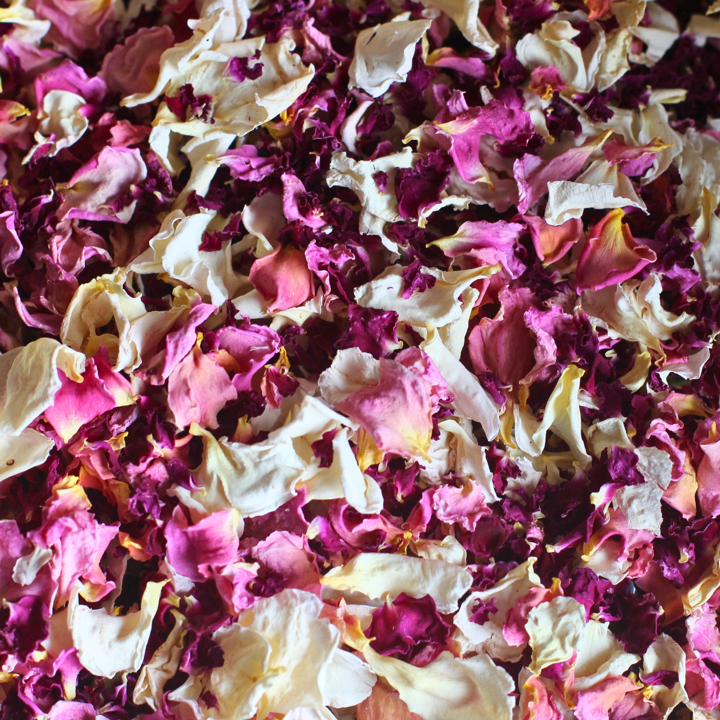 Strawberry Trifle - Dried Rose Petal Confetti