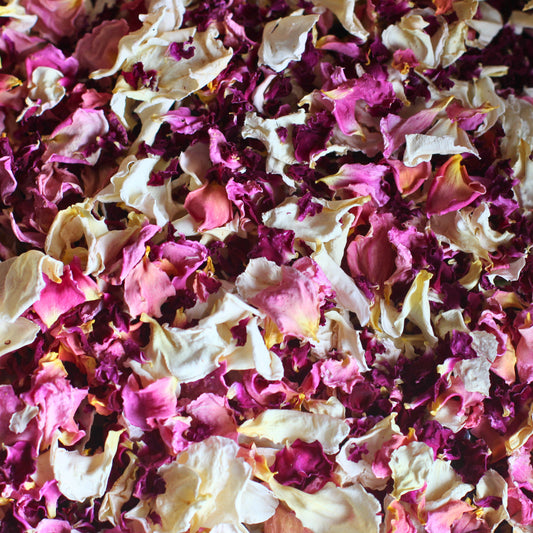 Strawberry Trifle - Dried Rose Petal Confetti